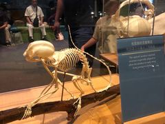 -香港科学馆