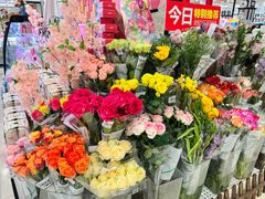 -伊藤洋华堂(高新店)