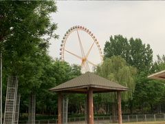 -石家庄市动物园