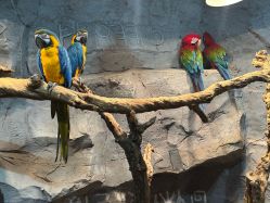 -Zoolung Zoolung动物主题公园(海信广场店)