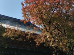 -灵谷景区