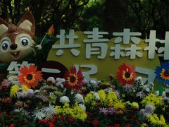 -上海共青森林公园