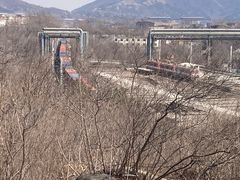 -白水寺森林公园