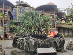 -海南槟榔谷黎苗文化旅游区