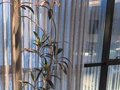 -湘满甲·黄焖甲鱼创始者·湘菜·鲁菜(潘家园店)