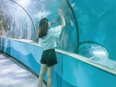 -苏州海洋馆
