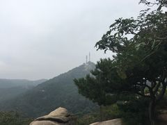 -鲁山国家森林公园