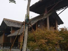 -泗洪洪泽湖湿地景区