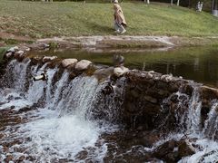 -长白岛森林公园