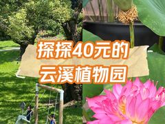 -云溪植物园
