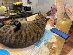 -猫的天空之城概念书店(杭州南宋御街店)