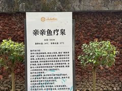 -罗浮山嘉宝田森林温泉度假酒店