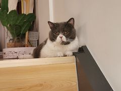 -爱诺耐芙动物医院(万博店)