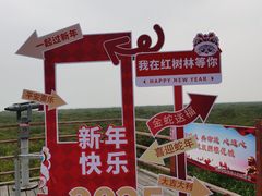 -北海金海湾红树林生态旅游区