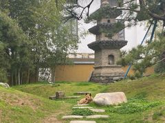 -龙华寺
