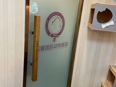 -宠爱国际动物医院·消化内科·心肾内科·ISFM猫友好(望京店)