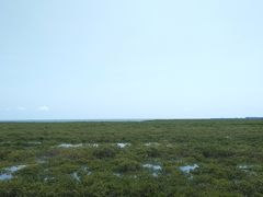 -北海金海湾红树林生态旅游区