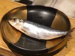 沙丁鱼-加奈日本料理