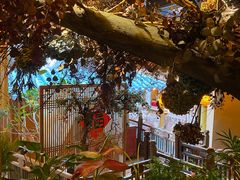 -叶叶菩提·晋福宫