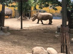 -西安秦岭野生动物园