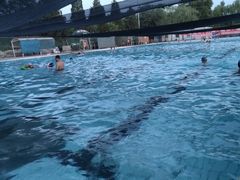 -昌平体育局室外游泳馆