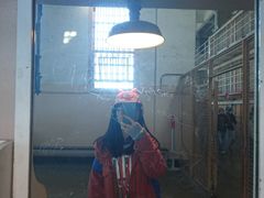 -阿尔卡特拉斯岛