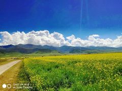-青海湖国家重点风景名胜区