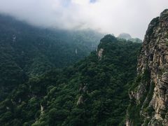 -牛背梁国家森林公园