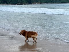 -西涌国际滨海旅游区