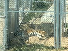 -青藏高原野生动物园