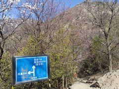 -鹫峰国家森林公园