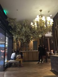 picture-侨治发型