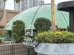 -新城市广场