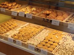 -九芝斋(解放路店)