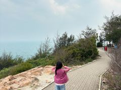 -广东惠东海龟国家级自然保护区