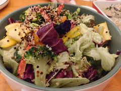 -haxnbauer海森堡德国餐厅(深圳coco店)