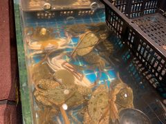 -九月海·海鲜自助(世纪东方店)