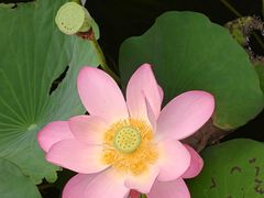 -长春市南湖公园