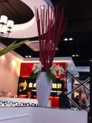 iphone_upload_pic-金太子形象设计