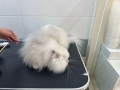 -全心全意动物诊疗中心医院(北苑店)