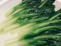 泉水菜心-欣悦府(城建大厦C座店)