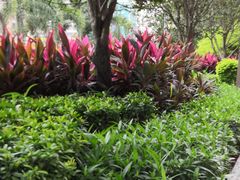 -万达广场(东莞厚街店)