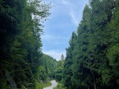 -武陵山森林公园