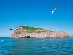 -海驴岛(荣成市)