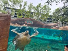 -广州海洋馆