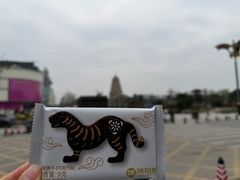 -陕拾叁-西安糕点(大雁塔店)