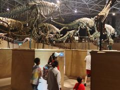 -世界恐龙谷景区