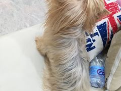-全心全意连锁动物医院(石景山店)