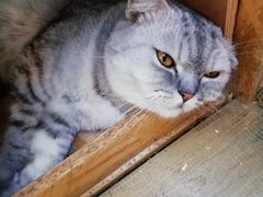 -拾壹cafe·工作室