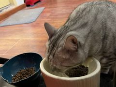-H立方实景剧情密室(天河旗舰店)